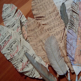 Sheet Music Paper Feathers